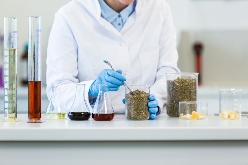 Hands wearing gloves working with marijuana seeds during experiment in laboratory. CBD and CBDa oils and glass tubes are on table and tablet is in backgorund. Healthcare pharmacy from cannabis.
